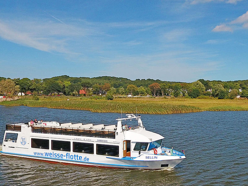 Motor ship "Sellin" from starboard side.
